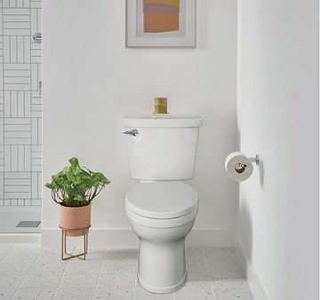 oakville toilet repair